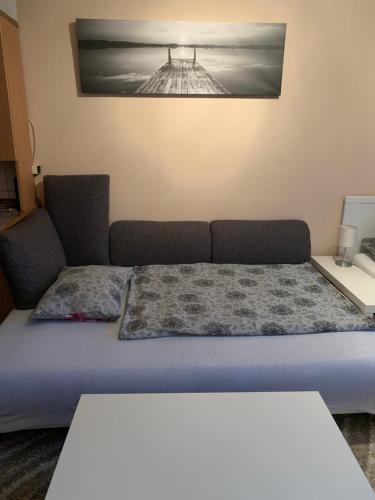 Liget Apartment, Terrace, Free Parking, AC, Budapešť (fotografie 7)