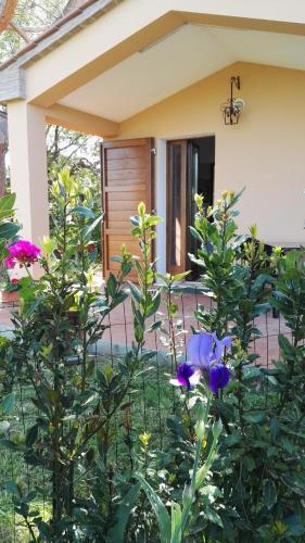  Holiday home in Castagneto Carducci 27464 in Castagneto Carducci
