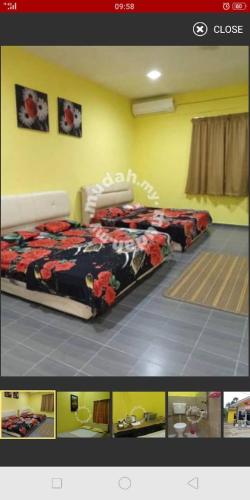 B&B Pasir Puteh - Hotel Murah Pasir Puteh - Bed and Breakfast Pasir Puteh