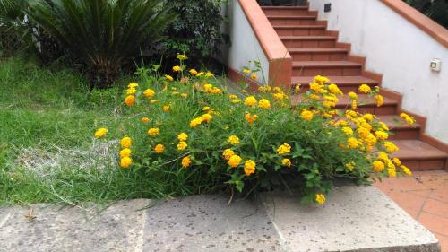 B&B Pian del Lago - image 7