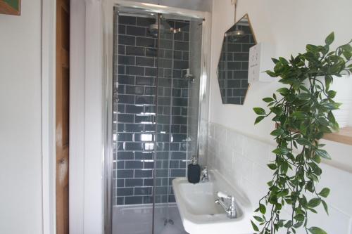 St Elmo Cottage - image 14