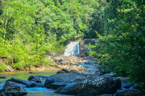 Rainforest Holiday Inn