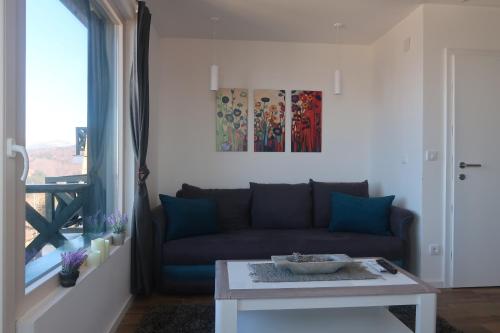Sky View  Apartment 7 Kopaonik - image 6