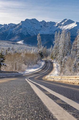 Zowiyrucha Zowiyrucha