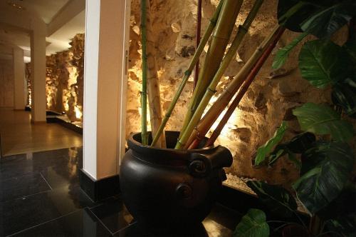 Зручності, Boutique Hotel Castilla in Сорія