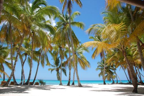 المنطقة المحيطة, B&B Villa Luna in باياهيبا