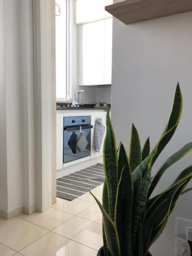 Suite 999 - SELF CECK IN -