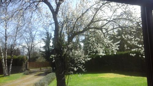 chez sylvie et jean-yves in Chagny