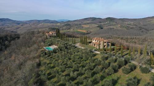  La Coccinella in San Venanzo