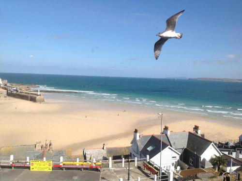 Golden Hind, , Cornwall