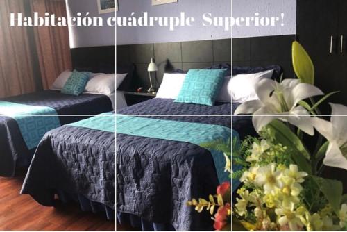 Hostal Alua Rio in La Concepcion