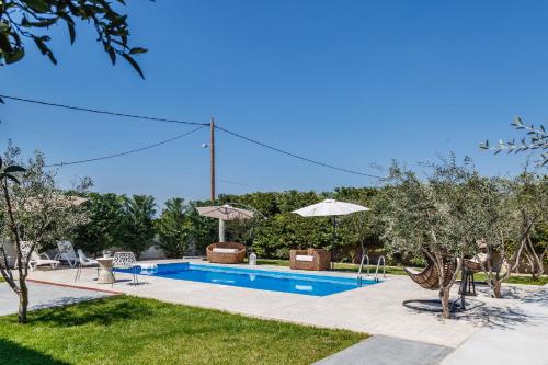 The Orange Garden - image 6