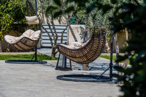 The Orange Garden - image 7