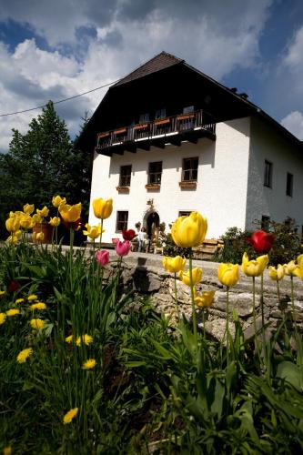 Ferienhof Rotbuchner - Hotel - Vorderstoder