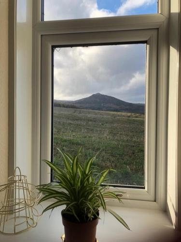 Broadsea in อินเวอรูรี