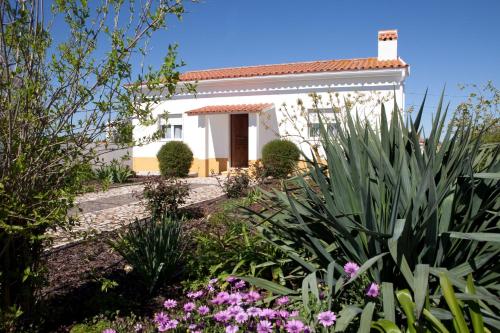  monte da boa fé in Estremoz