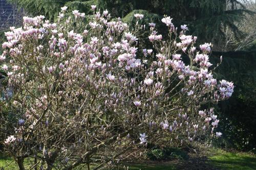 Les Prunelliers in Rambouillet