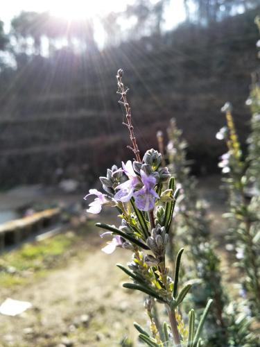 Quinta do Porto