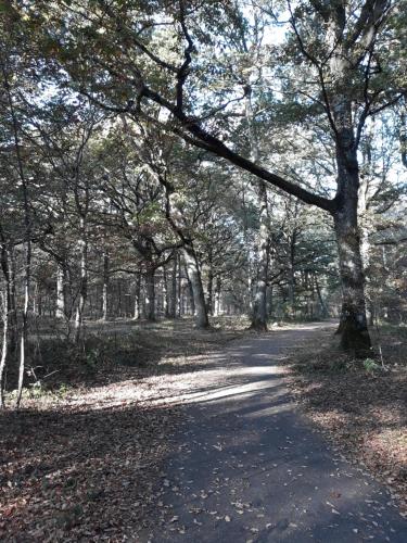 Les Prunelliers in Rambouillet