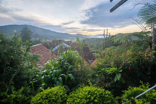 The Bala's Holiday Chalet in Cameron Highlands