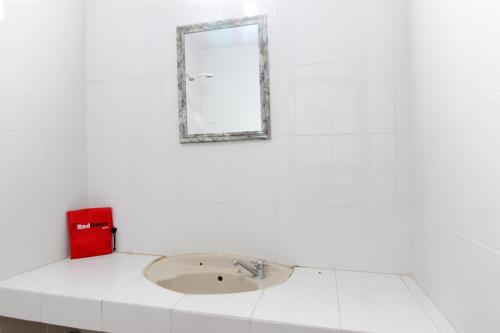 レッドドアーズ シャリア ニア ジェンビラ ロカ ズー