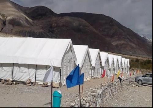 

Pangong Paradise