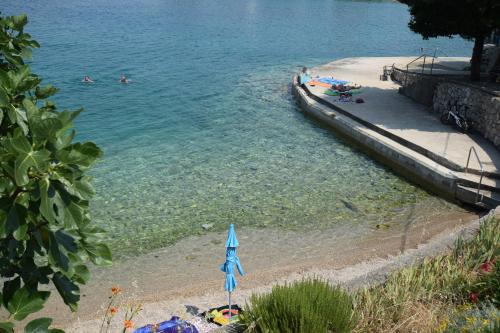 ชายหาด, Apartment Vjeko in วันตาชิชิ