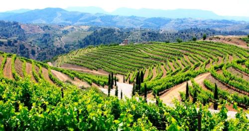 VILLA WINE EXPERIENCE Salou Center - SPA & Wine photo