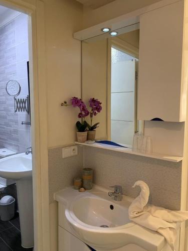 Two-Bedroom Apartment image 3