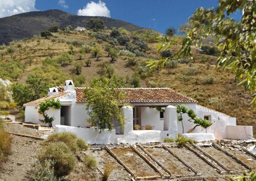 Villa with Garden View