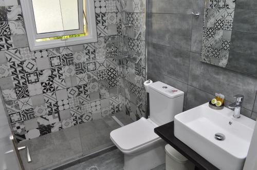Penthouse Apartment image 5