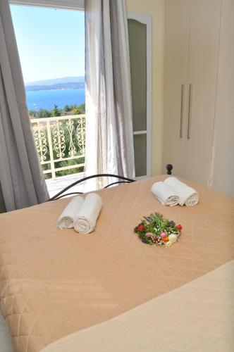 Penthouse Apartment image 10