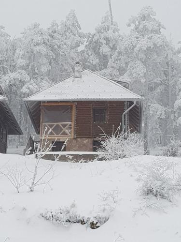 Accommodation in Divčibare