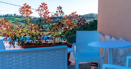 La Casa del Nonno 4