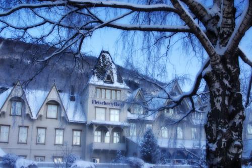 Fleischer's Hotel - image 4