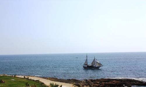 Amphora Hotel & Suites - image 3