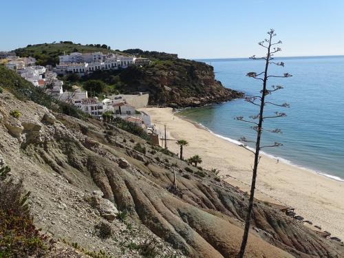 Casa Afonso Henriques