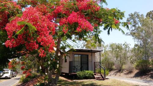 Mt Larcom Tourist Park