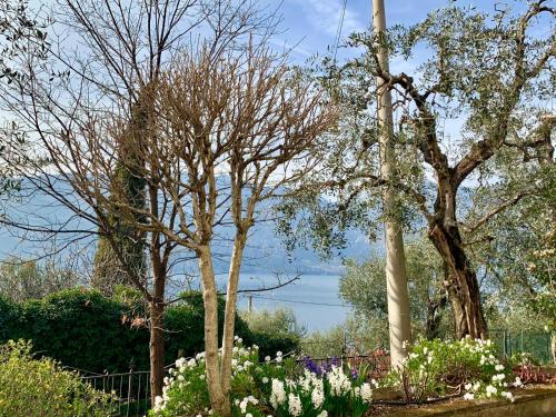 Casa Daniela, Malcesine (photo 10)