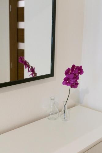 Spacious apartment near Wenceslas Square, Praha (fotografie 10)