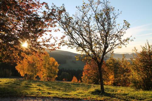 周邊環境, Stoahauerhof in 格萊內特