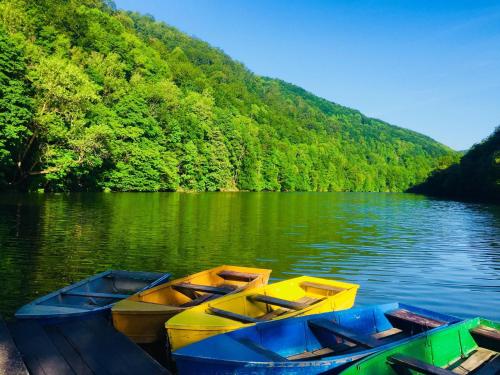 Hotel Tókert - image 11