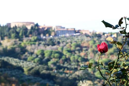 Agriturismo Bellavista apt La Pergola