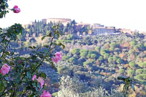 Agriturismo Bellavista apt La Pergola