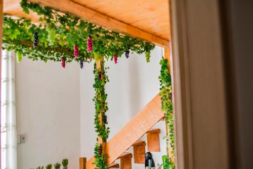 Facilities, B&B Tecla near Piazza Dante