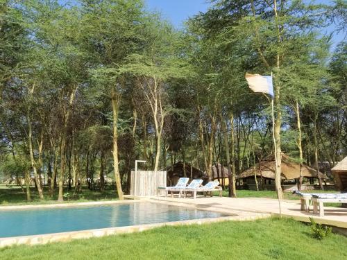 Swimming pool, Africa Safari Camping Mto wa Mbu in Mto Wa Mbu