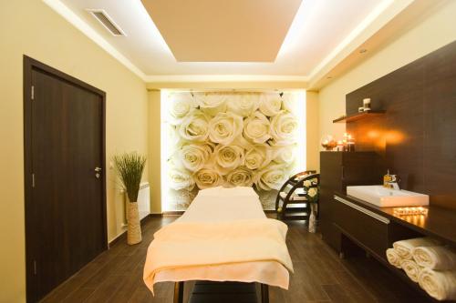 Sana Spa Hotel - image 9
