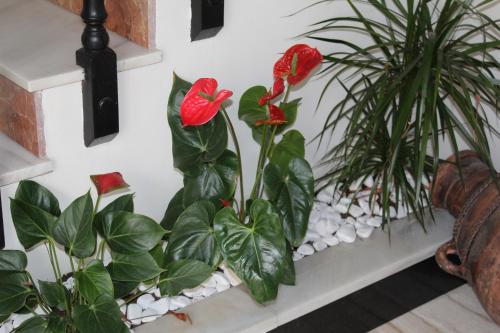 Hotel La Mirada - image 10