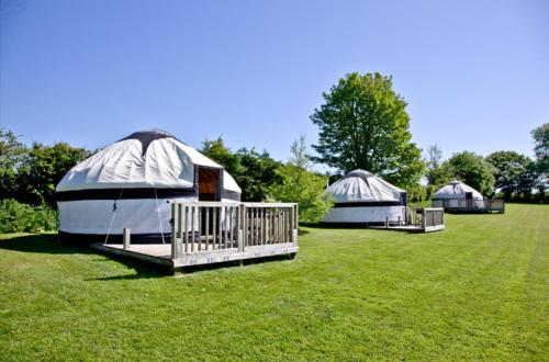 Cornish Yurt With Hot Tub (1), Liskeard, Cornwall