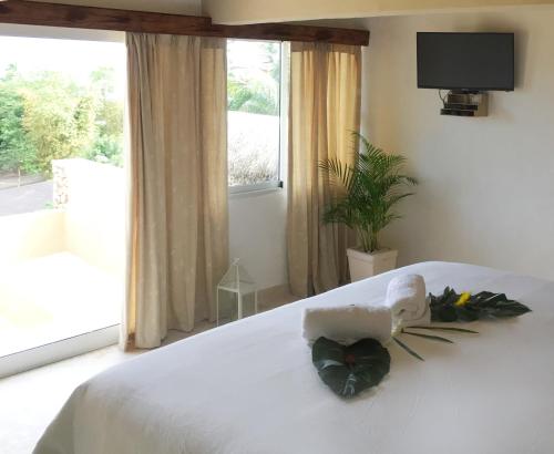 188103037 Cabrera Chalet boutique hotel